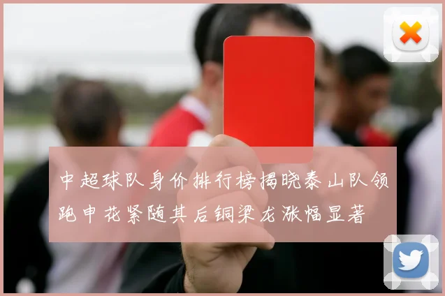 中超球队身价排行榜揭晓泰山队领跑申花紧随其后铜梁龙涨幅显著